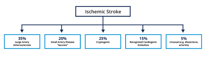 studies-esus-cryptogenic-strokes